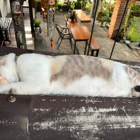 ครูหนูบ้านพัก แหลมงอบ Krunou baanpak Trat Exteriér fotografie