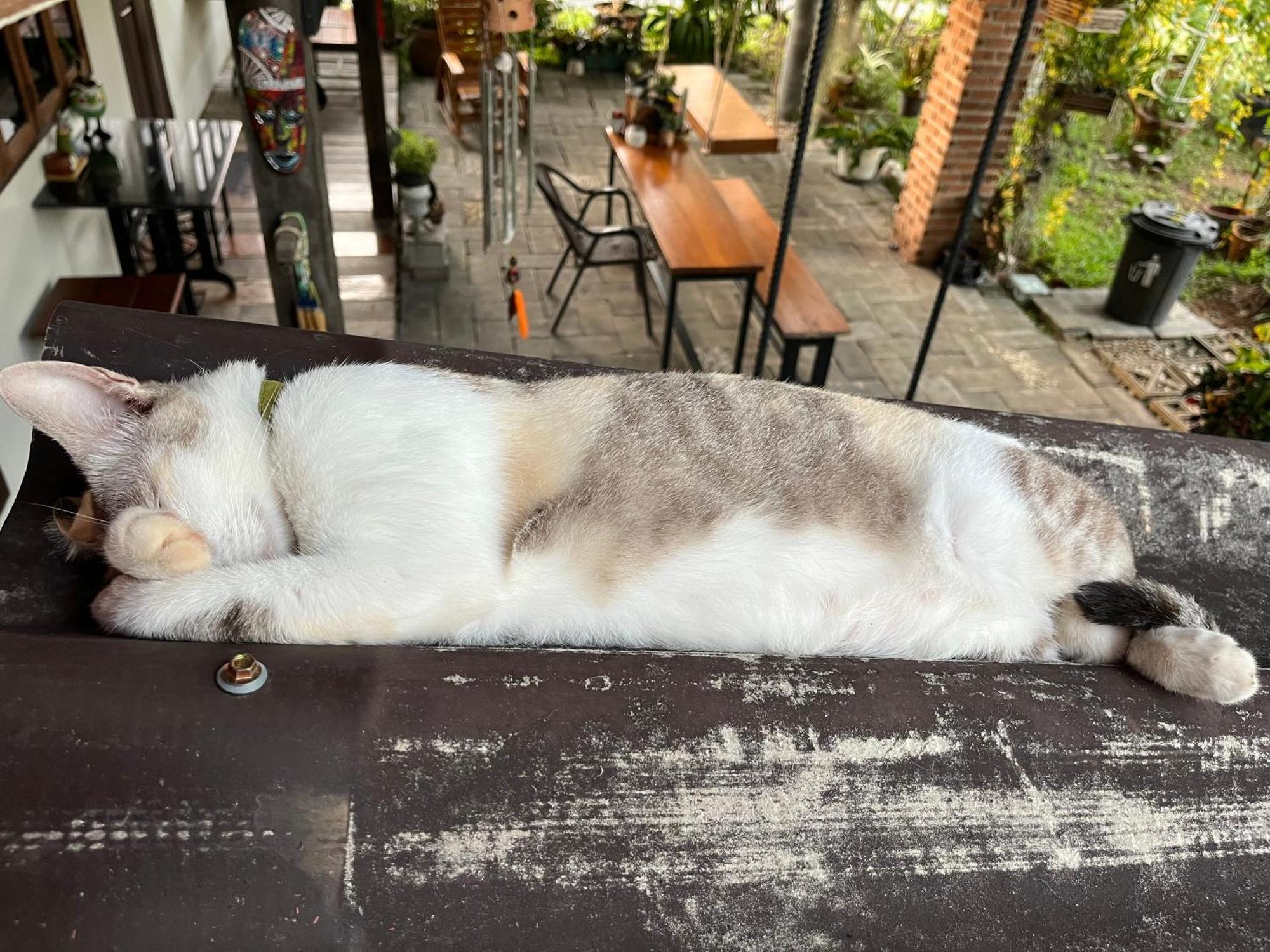 ครูหนูบ้านพัก แหลมงอบ Krunou baanpak Trat Exteriér fotografie