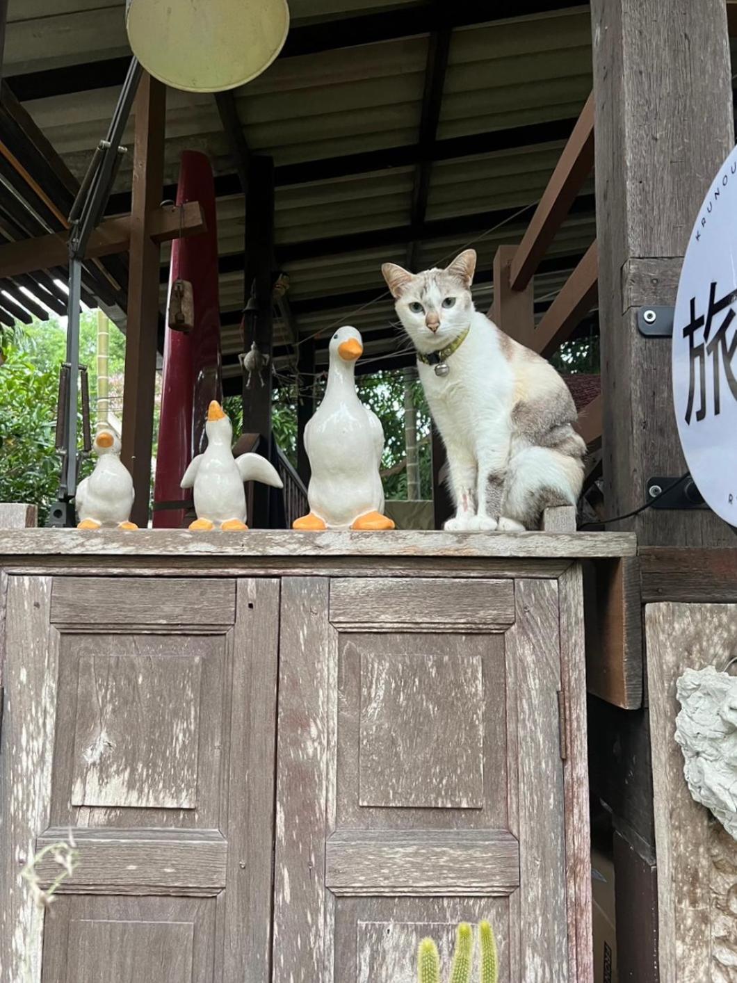 ครูหนูบ้านพัก แหลมงอบ Krunou baanpak Trat Exteriér fotografie
