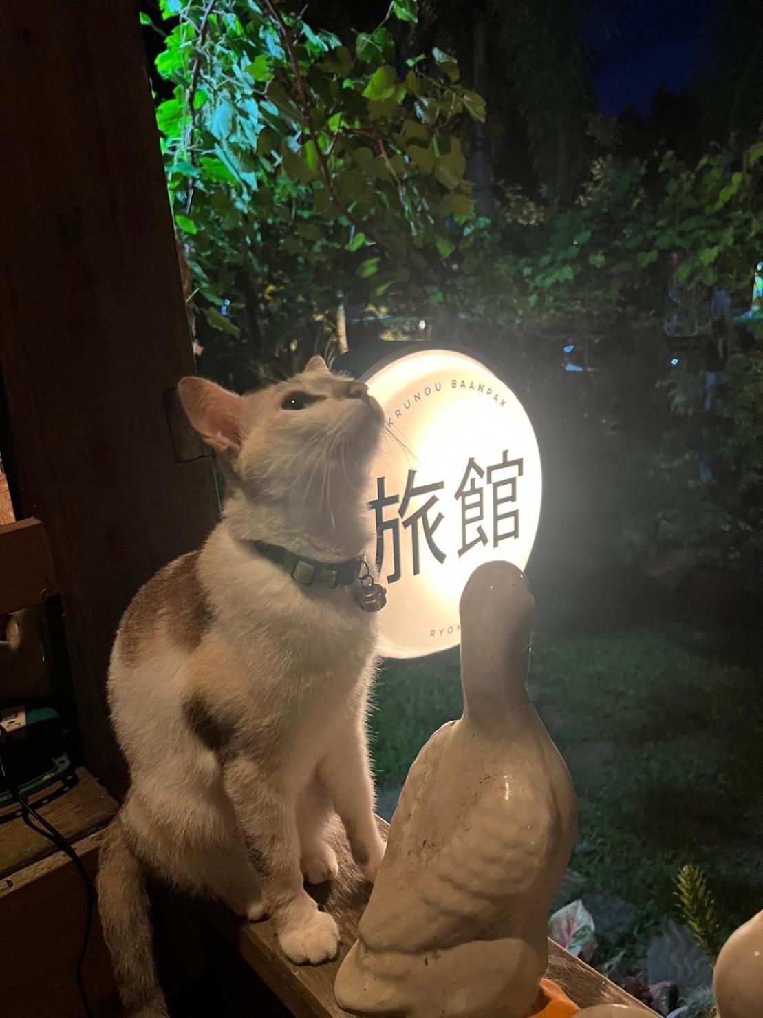 ครูหนูบ้านพัก แหลมงอบ Krunou baanpak Trat Exteriér fotografie