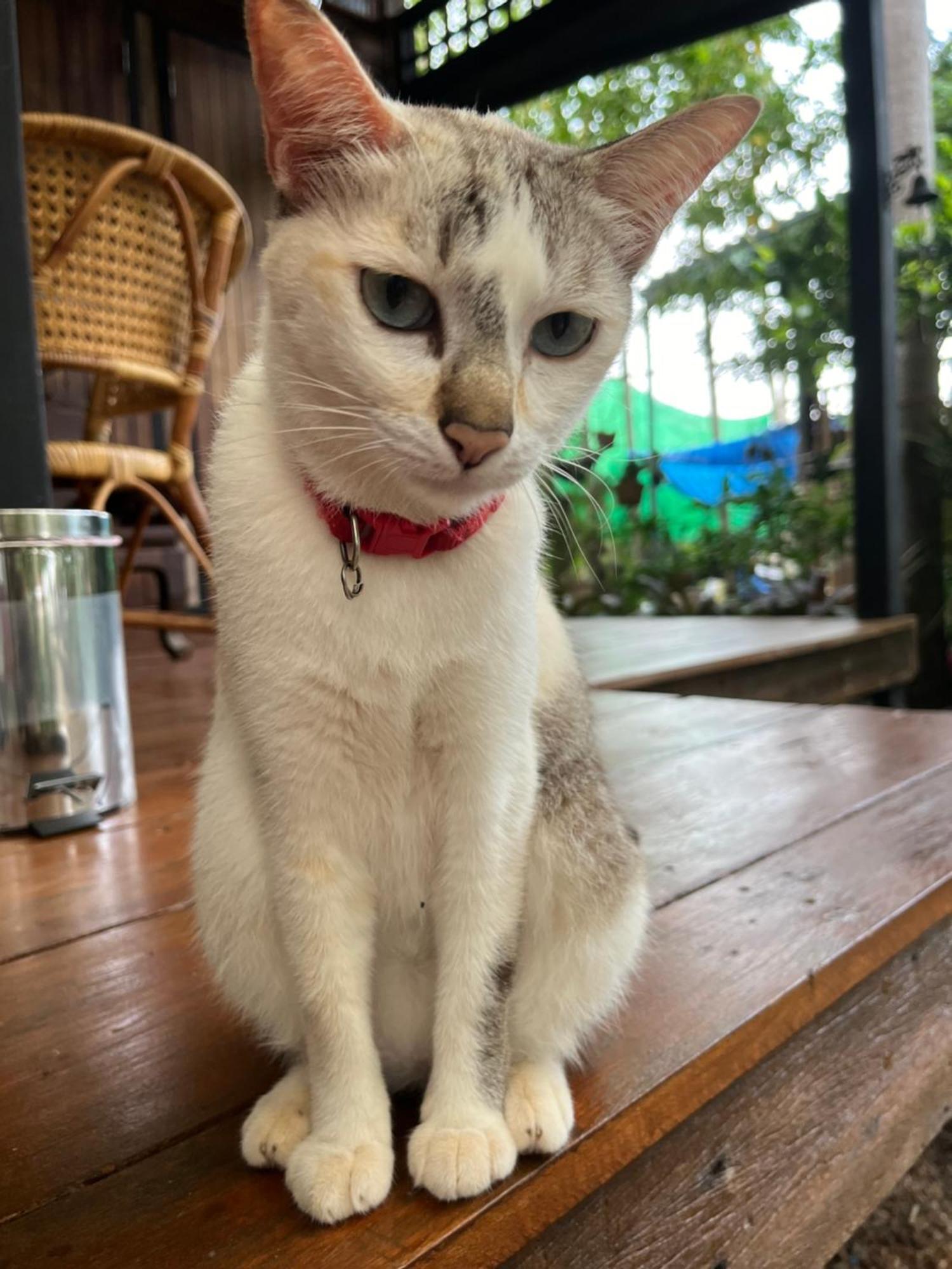 ครูหนูบ้านพัก แหลมงอบ Krunou baanpak Trat Exteriér fotografie